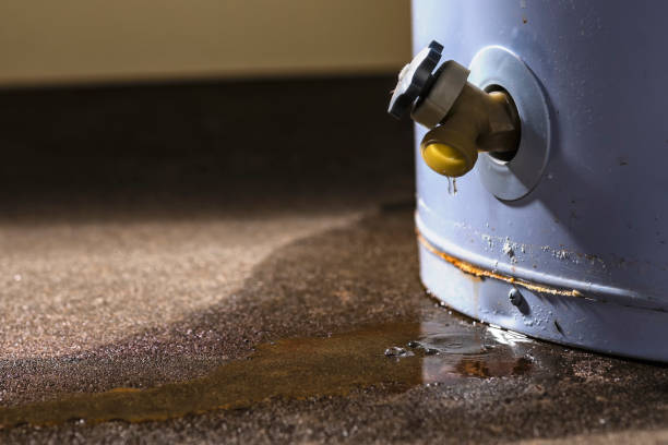 Best Water damage cleanup near me  in Norwood, OK