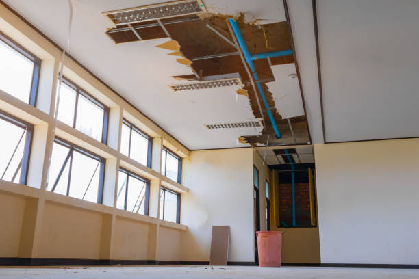 Best Professional water damage repair  in Norwood, OK