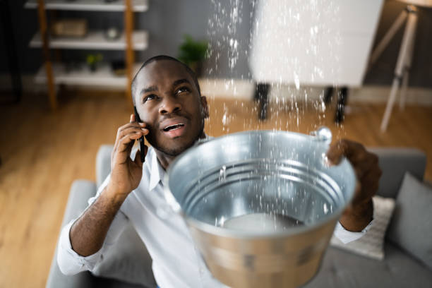 Best Mold removal after water damage  in Norwood, OK