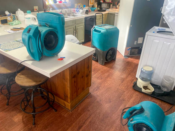 Best Water damage repair service  in Norwood, OK