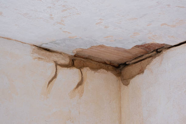  Norwood, OK Water damage restoration Pros