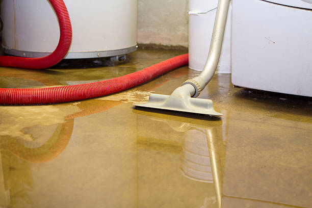 Best Flood damage cleanup  in Norwood, OK