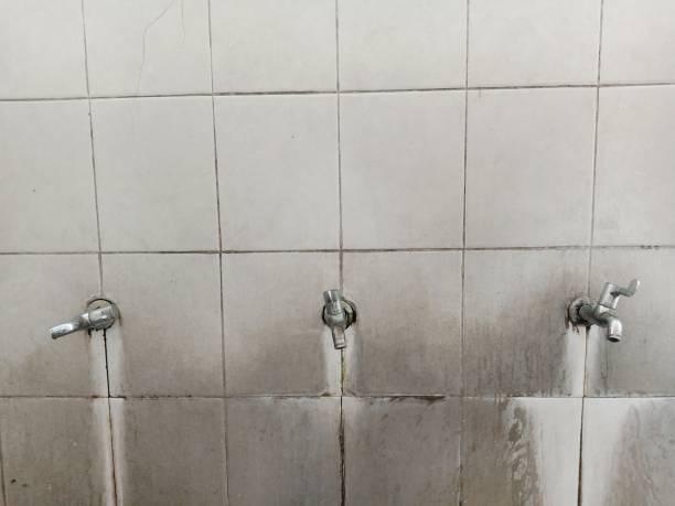 Water damage restoration mold remediation in Norwood, OK