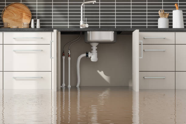 Best Water damage restoration near me  in Norwood, OK