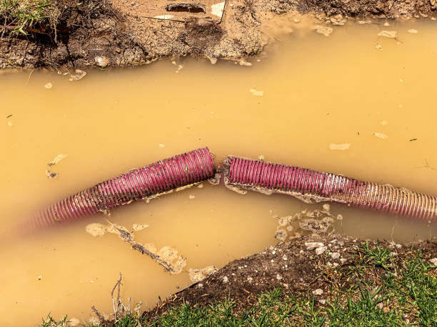 Best Water damage restoration process  in Norwood, OK