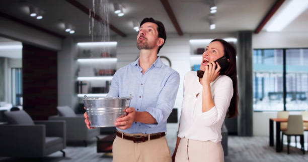 Best Professional water damage repair  in Norwood, OK