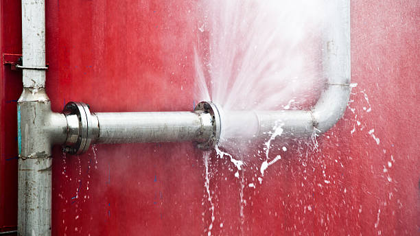 Best Professional water damage repair  in Norwood, OK